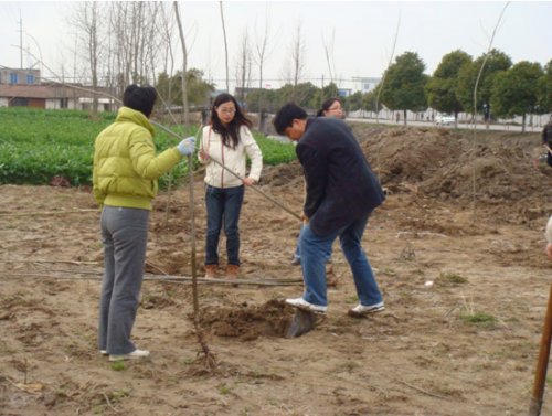 天补镇学雷锋志愿服务月活动总结