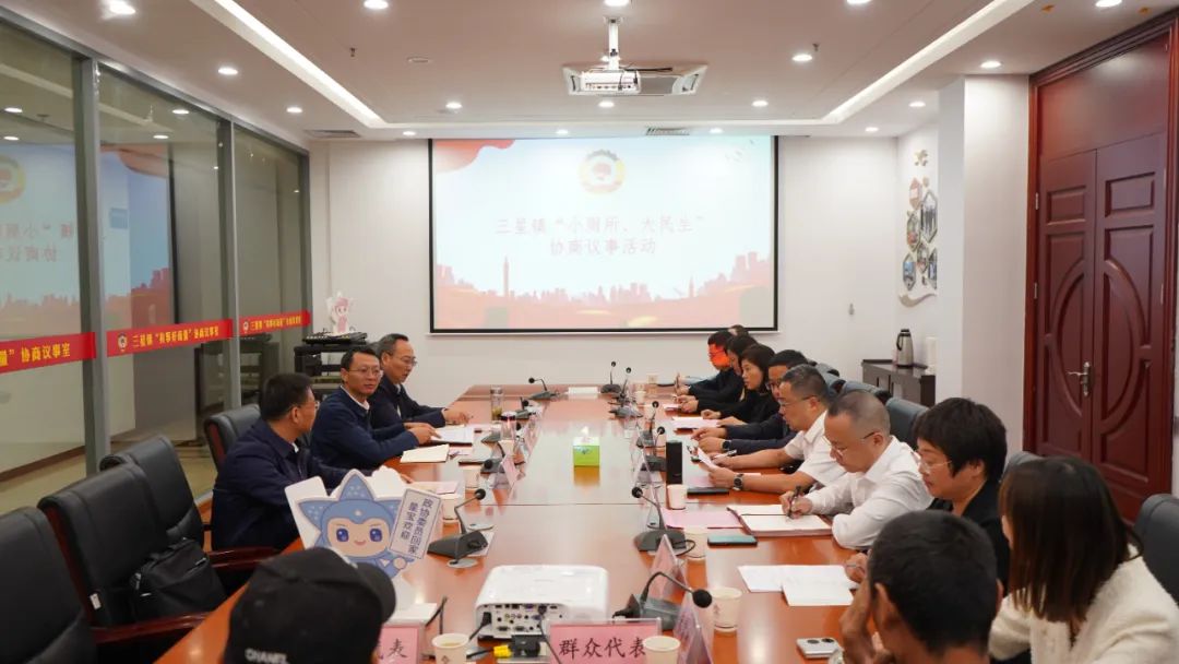 三星镇开展“小厕所 大民生”有事好商量协