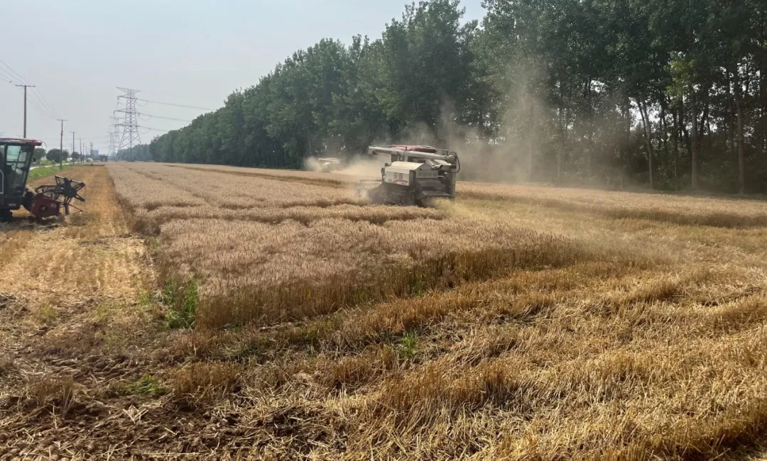 图片3.png 图片3.png