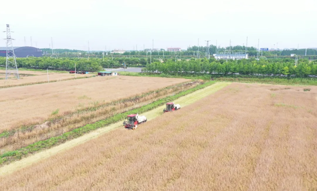 图片2.png 图片2.png