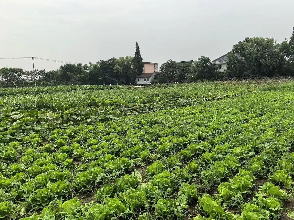 微信图片_20241126110441.jpg 微信图片_20241126110441.jpg