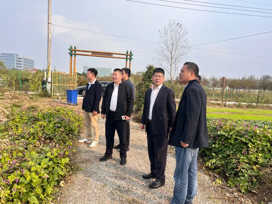 微信图片_20241126110429.jpg 微信图片_20241126110429.jpg