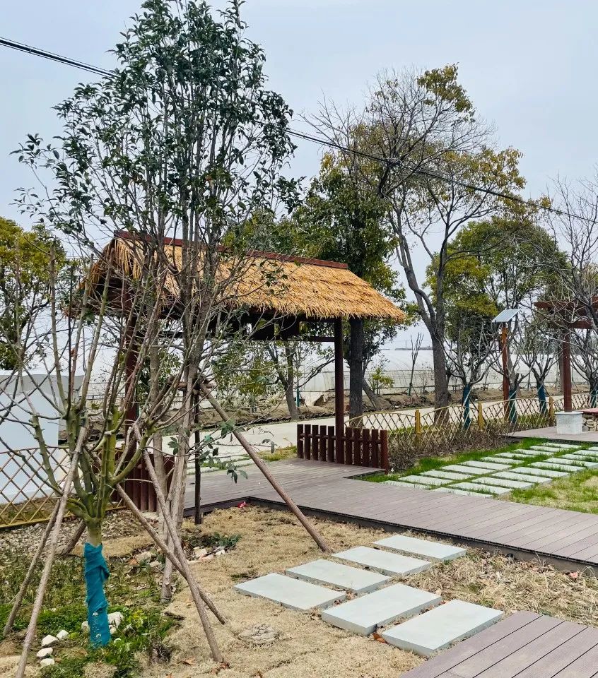 640 (2).jpg 640 (2).jpg