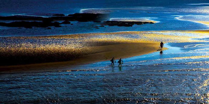 江海筑暖巢 百鸟赴春约｜海门绘就人鸟和谐生态画卷293.png