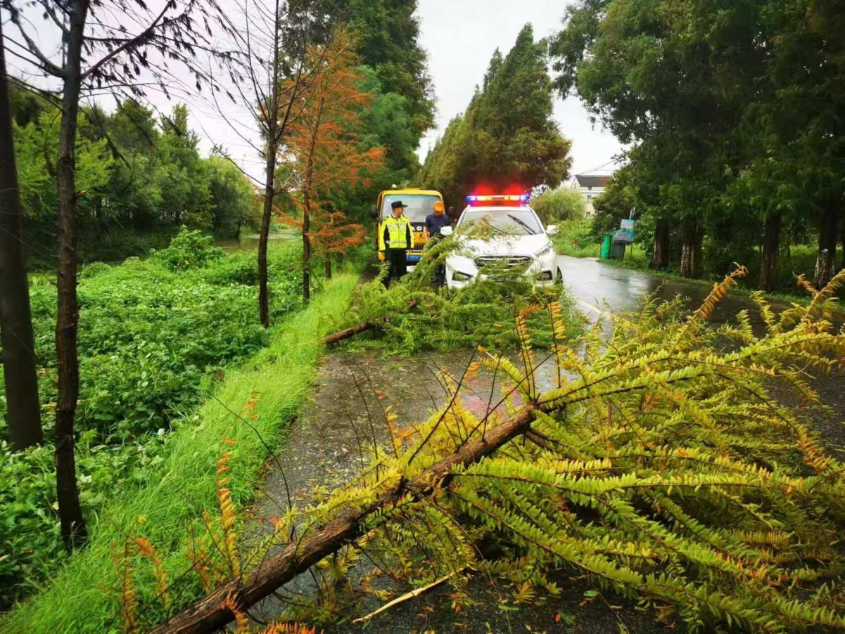 图片1.png 图片1.png