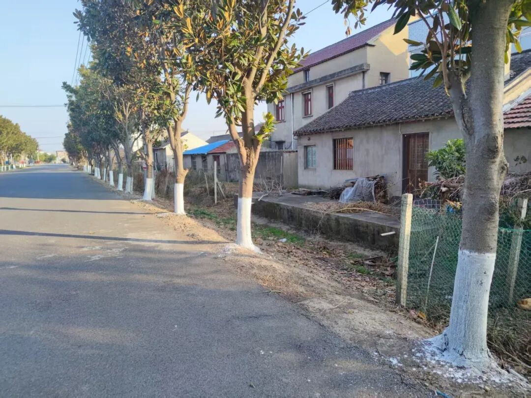 图片4.png 图片4.png