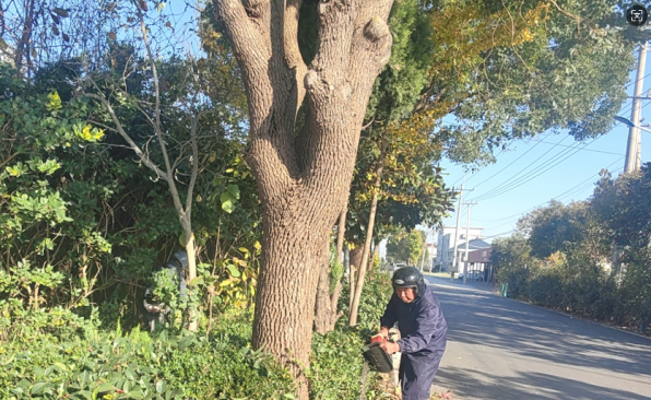 微信图片_20260105094218.png 微信图片_20260105094218.png