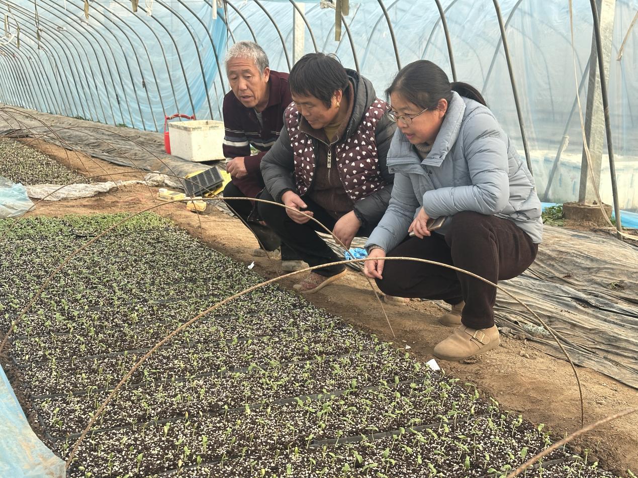 图片2.jpg 图片2.jpg