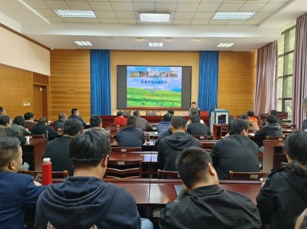 图片10.jpg