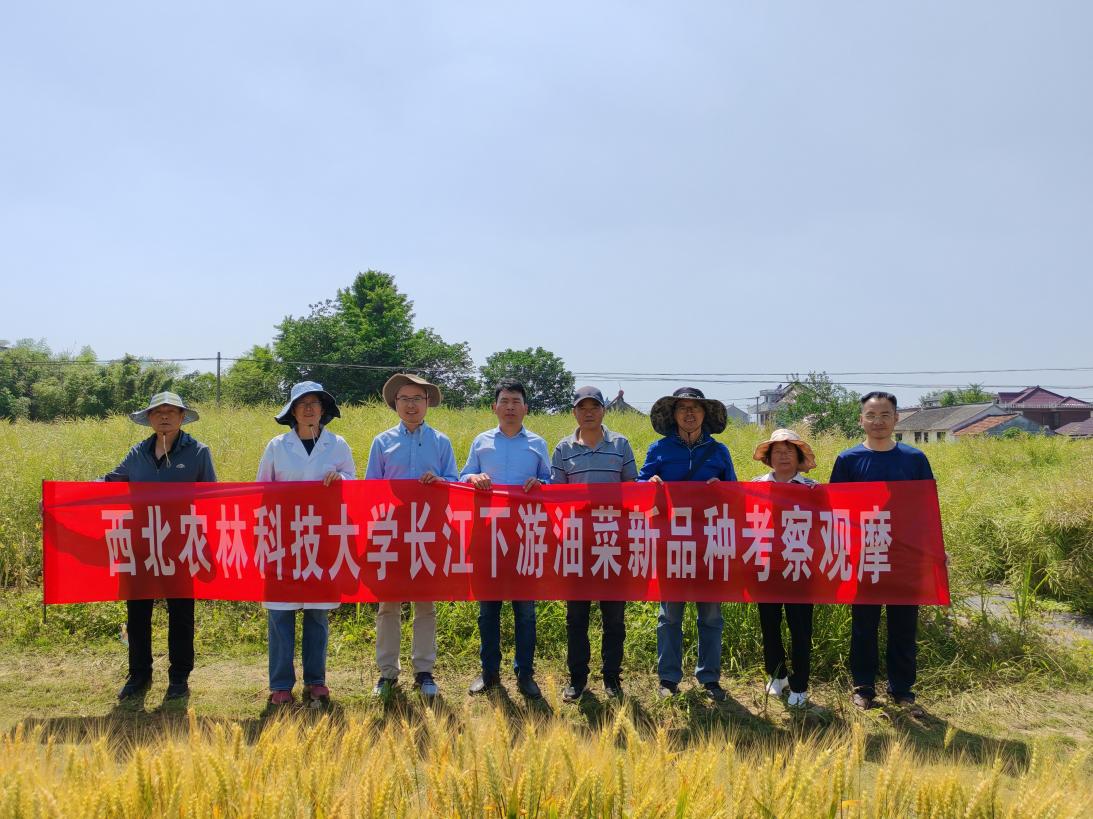 图片1.jpg