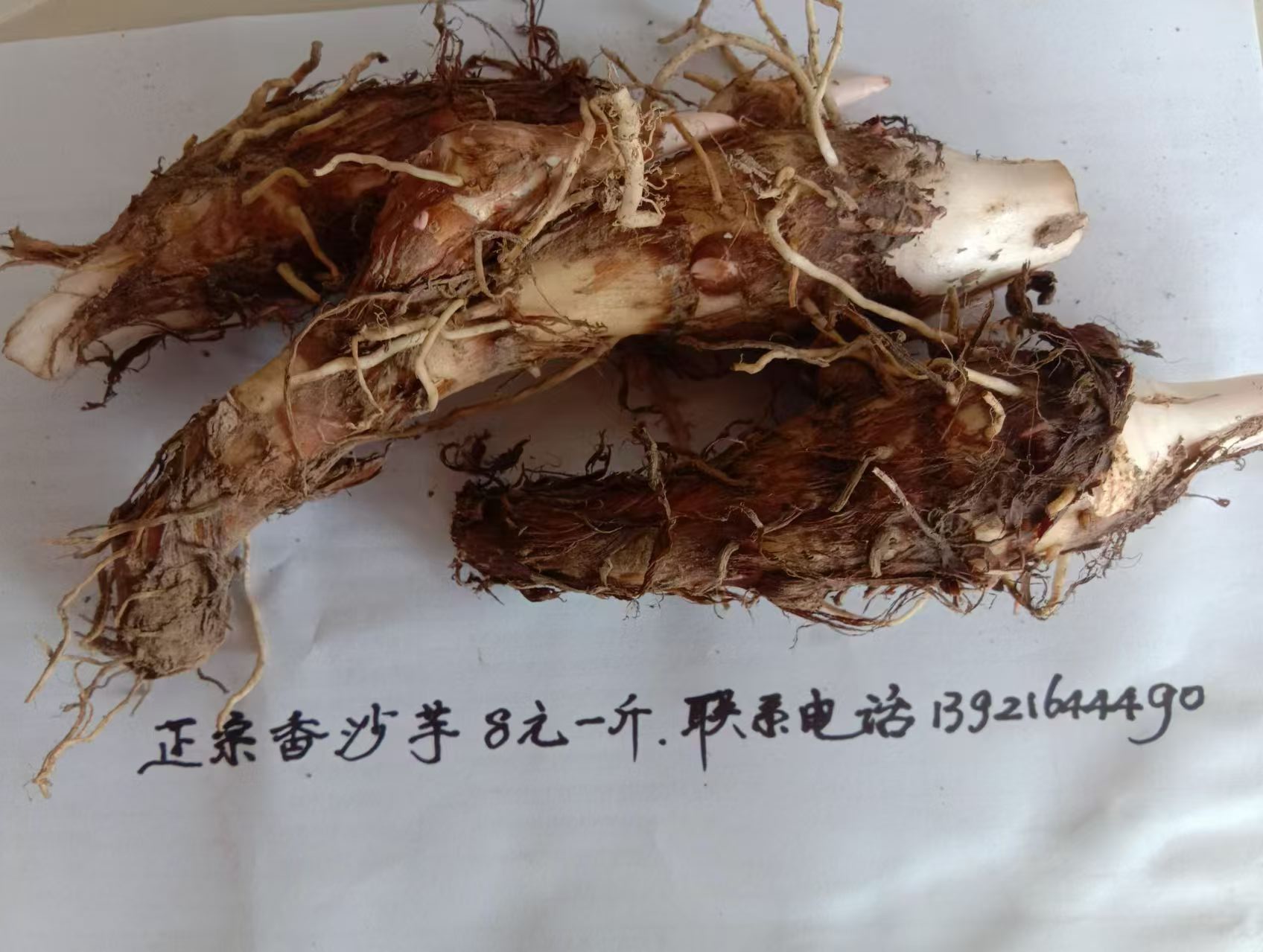 旋转 微信图片_20240923091522.jpg