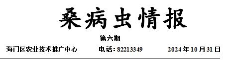 QQ20241031-142249.jpg