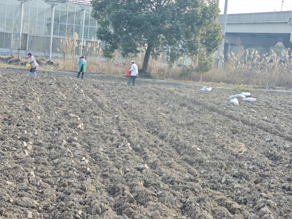 图片1.jpg 图片1.jpg