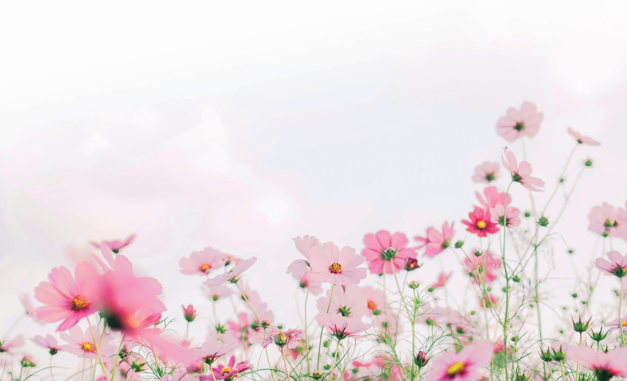 204918e21435110bbfb60284abac859c.jpg 204918e21435110bbfb60284abac859c.jpg