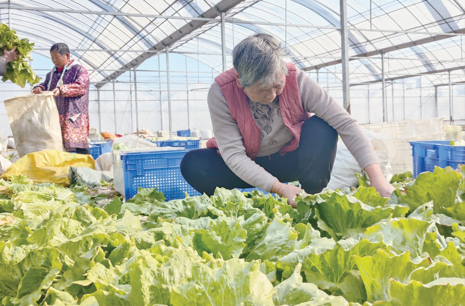 1-24-3.jpg 1-24-3.jpg