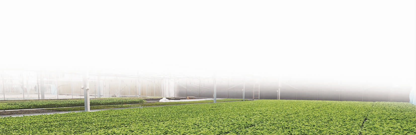 d6f872de438887ee8730198ec6a00e72.jpg d6f872de438887ee8730198ec6a00e72.jpg