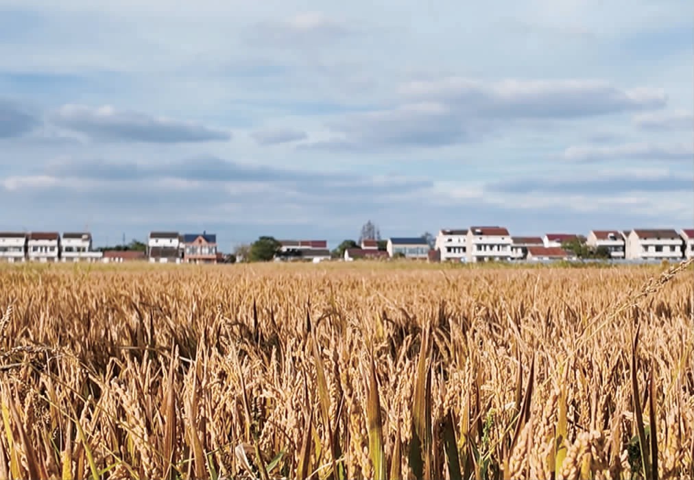 9b24a7b83c5ba07a4d44dc788510d92d.jpg 9b24a7b83c5ba07a4d44dc788510d92d.jpg