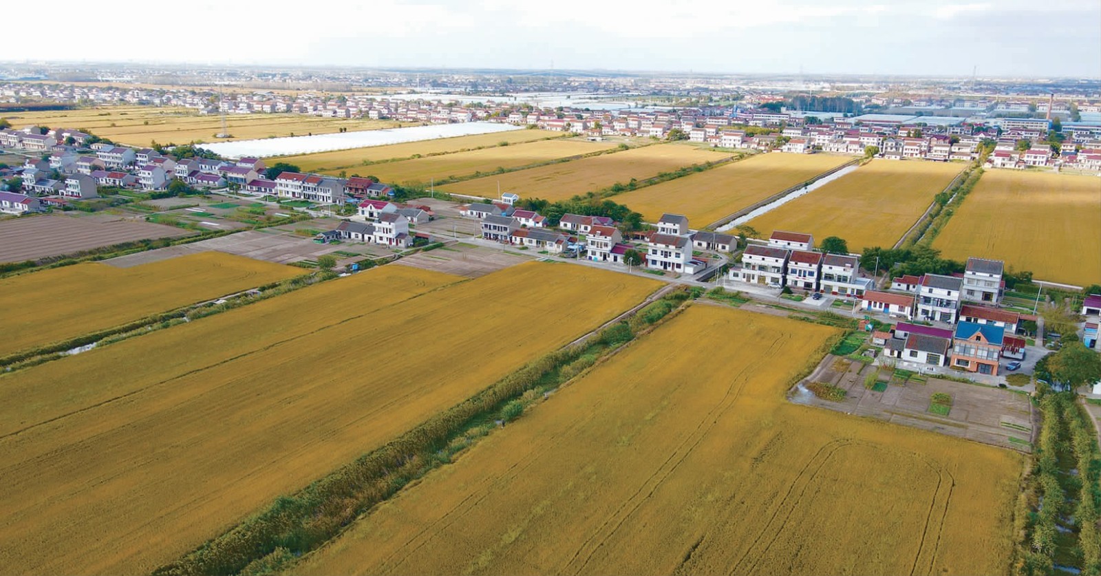 42c87c1271f21eaeb5065620c4aa0ecc.jpg 42c87c1271f21eaeb5065620c4aa0ecc.jpg