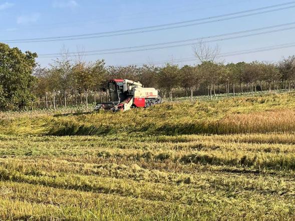 图片2.jpg 图片2.jpg